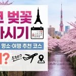 도쿄 벚꽃 개화시기