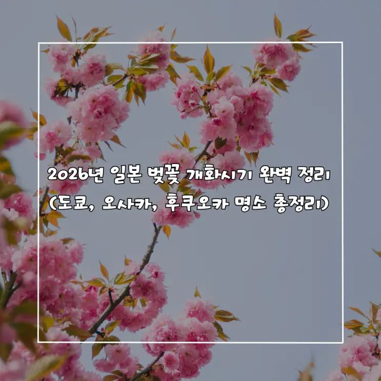섹션 1 이미지