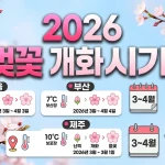 벚꽃 개화시기