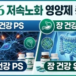 2026 저속노화 영양제 총정리