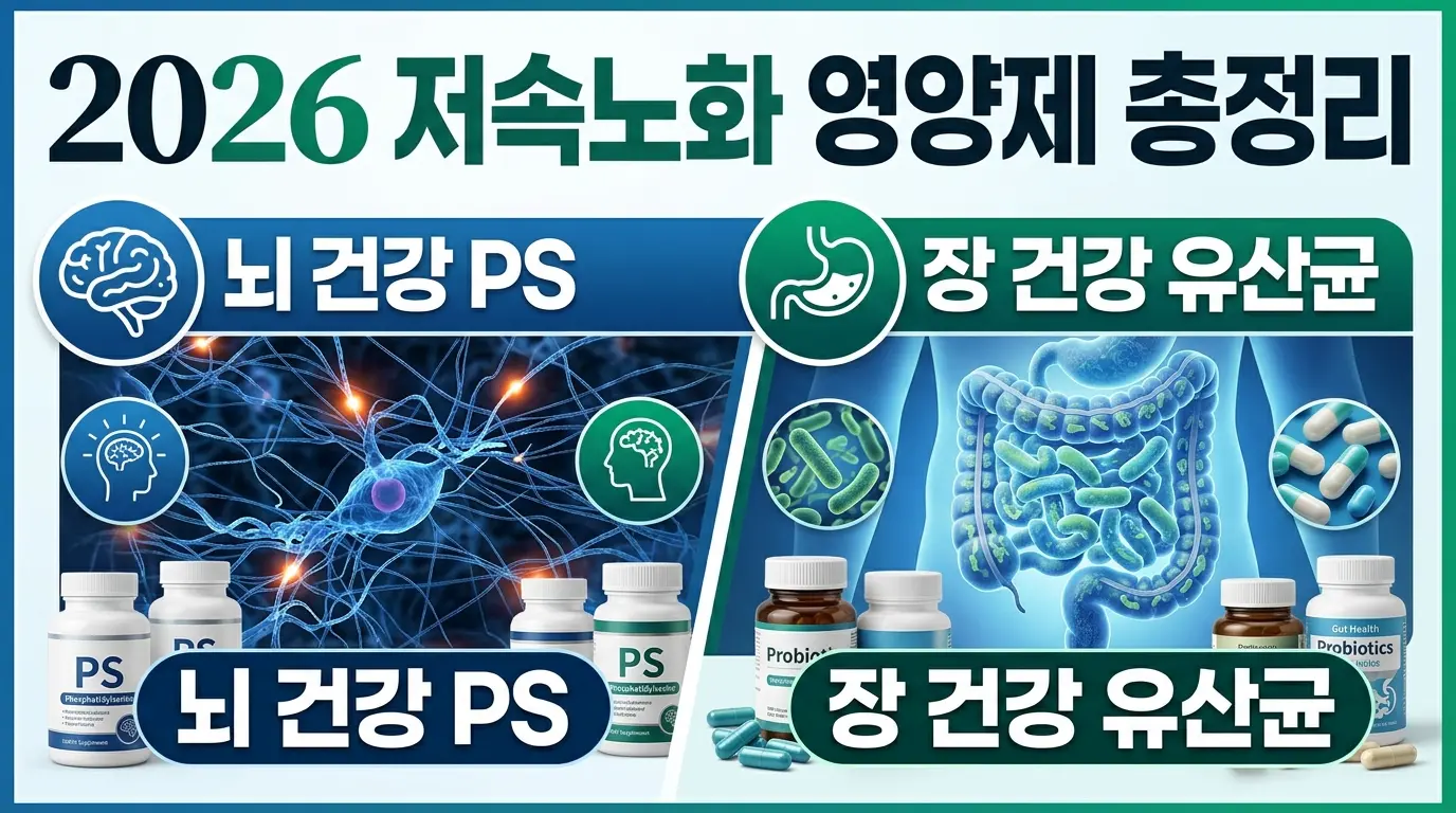 2026 저속노화 영양제 총정리