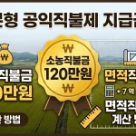 기본형 공익직불제