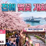 부산 진해 벚꽃 개화시기