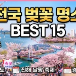전국 벚꽃 명소