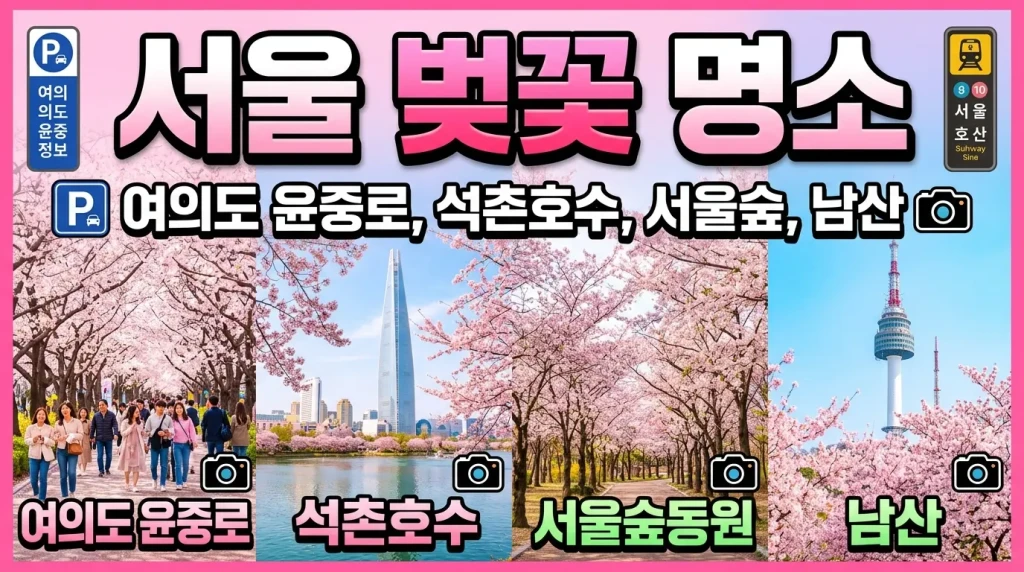서울 벚꽃 명소 완벽 가이드