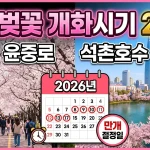 서울 벚꽃 개화시기